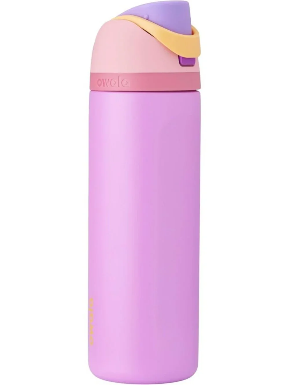 24 oz Stainless Steel Water Bottle with FreeSip - Princess Design, BPA-Free